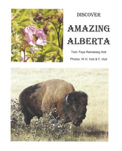 Amazing Alberta